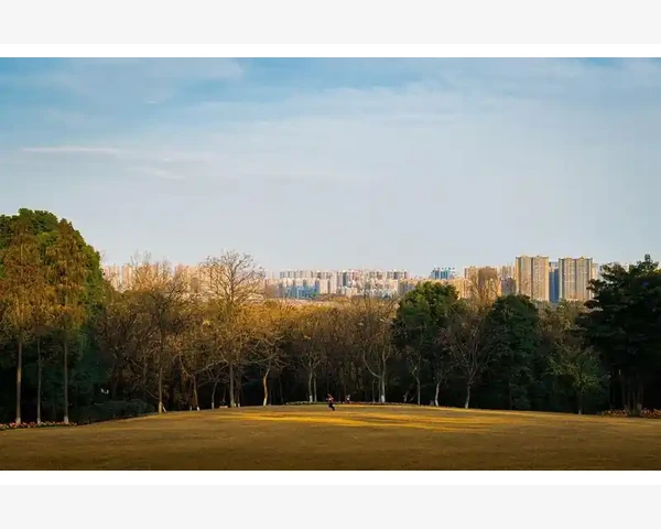 太极拳：改善脾胃健康的理想选择