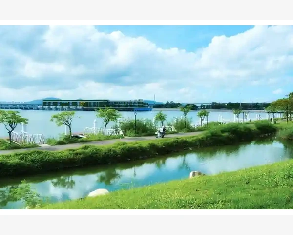 舌苔厚黄是怎么调理？