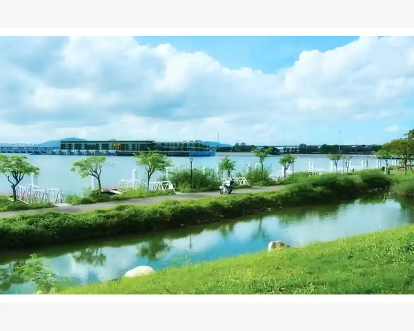 舌苔厚白脾胃虚弱？鸡内金调理有妙招